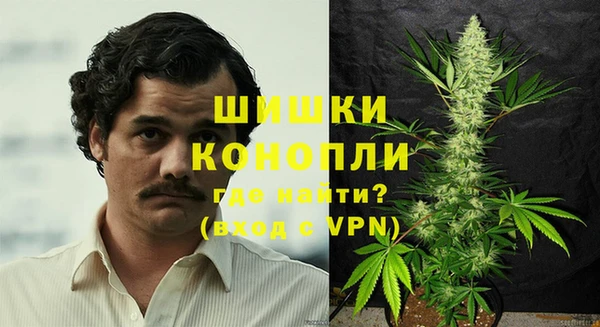 прущие грибы Красноперекопск