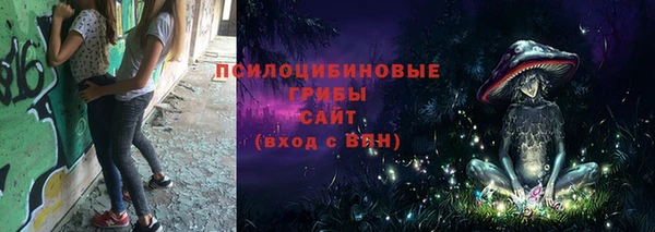 спиды Краснослободск