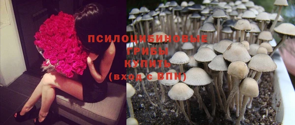 прущий лед Краснотурьинск